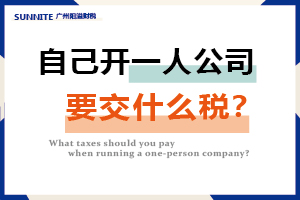 自己开一人公司要交什么税？
